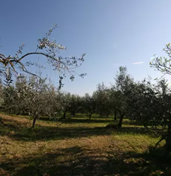 Foto annuncio 5