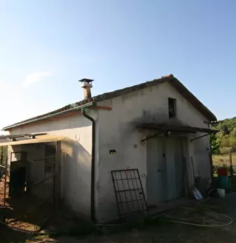 Foto annuncio 6