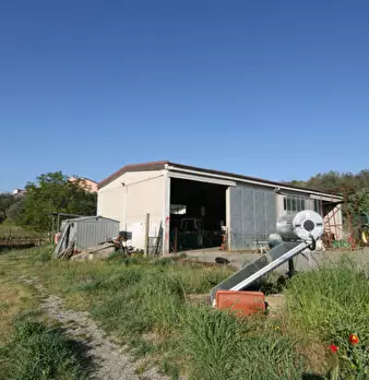 Foto annuncio 8