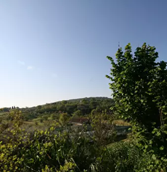 Foto annuncio 17