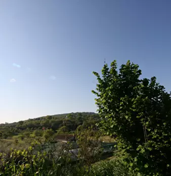 Foto annuncio 18