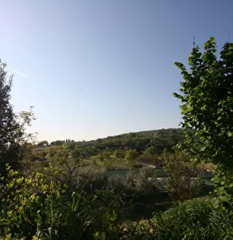 Foto annuncio 19