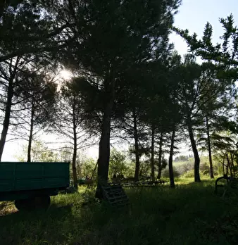 Foto annuncio 20