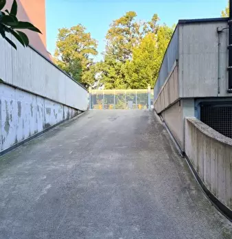 Foto annuncio 11