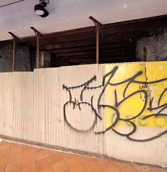 Foto annuncio 2