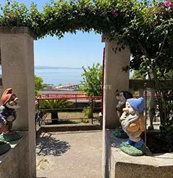 Foto annuncio 11