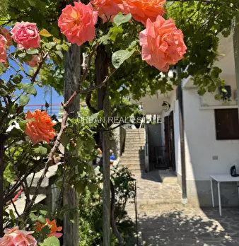 Foto annuncio 34