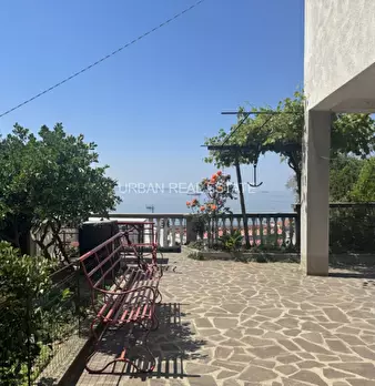 Foto annuncio 36