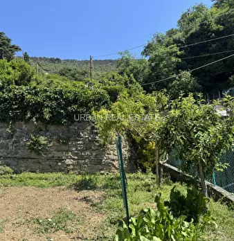 Foto annuncio 37