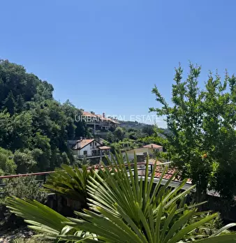 Foto annuncio 46