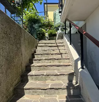 Foto annuncio 48