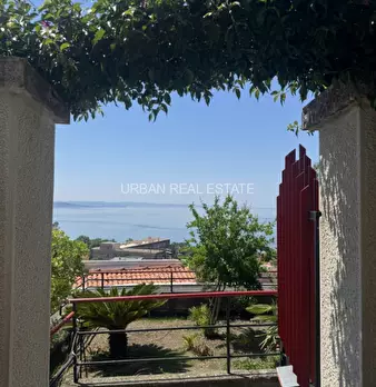Foto annuncio 49