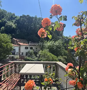 Foto annuncio 52