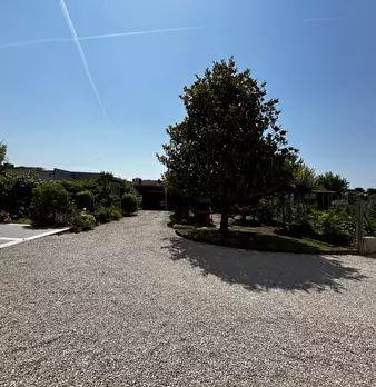 Foto annuncio 40