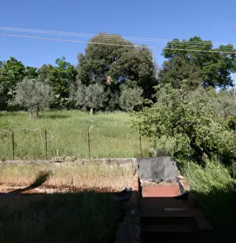 Foto annuncio 34
