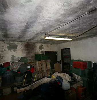 Foto annuncio 45