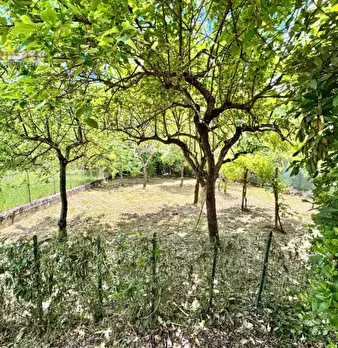 Foto annuncio 3