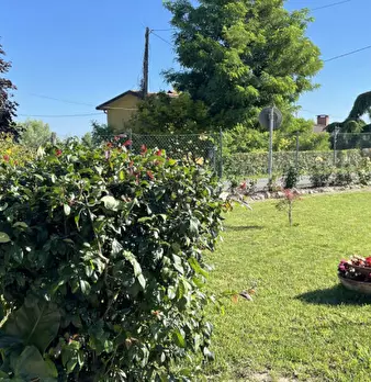 Foto annuncio 51