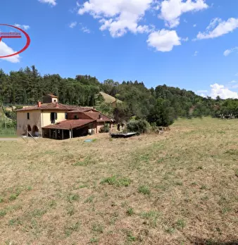 Foto annuncio 6