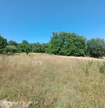 Foto annuncio 4