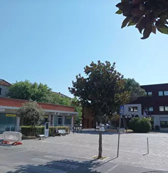 Foto annuncio 17
