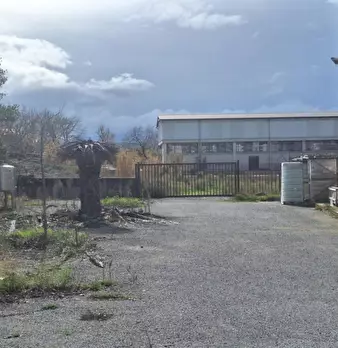 Foto annuncio 5