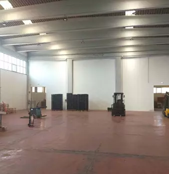 Foto annuncio 2