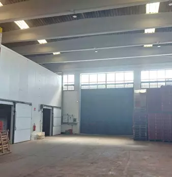 Foto annuncio 6