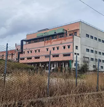 Foto annuncio 6