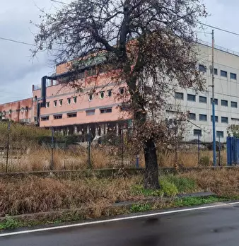 Foto annuncio 17