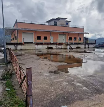 Foto annuncio 24