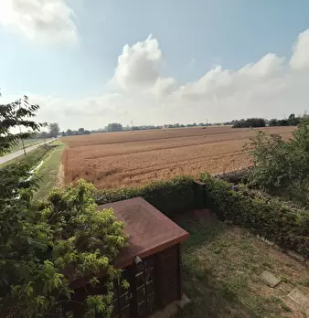 Foto annuncio 8