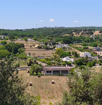 Foto annuncio 44