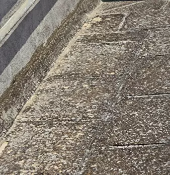 Foto annuncio 23