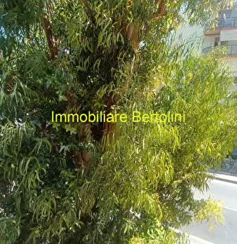 Foto annuncio 21
