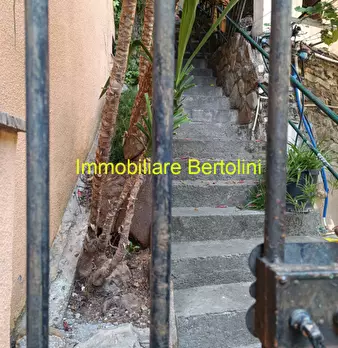 Foto annuncio 41