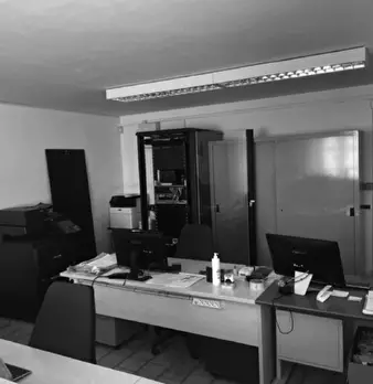 Foto annuncio 5