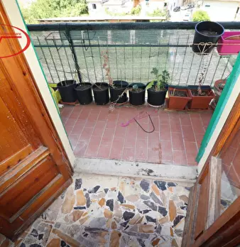Foto annuncio 22