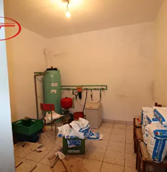 Foto annuncio 31
