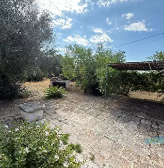 Foto annuncio 24