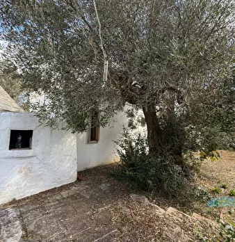 Foto annuncio 28