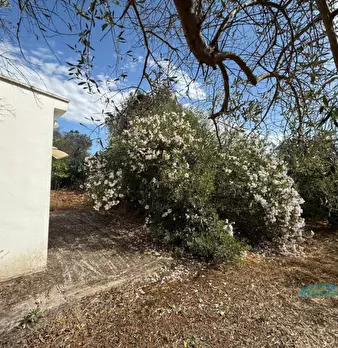Foto annuncio 30