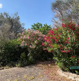 Foto annuncio 32
