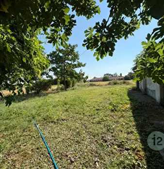 Foto annuncio 21