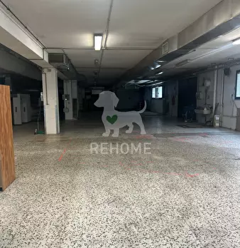 Foto annuncio 19