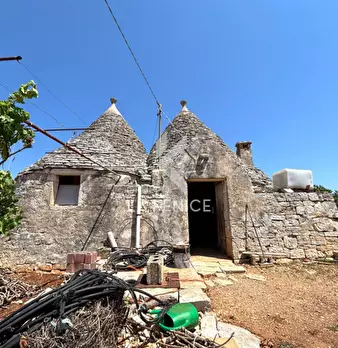 Foto annuncio 12