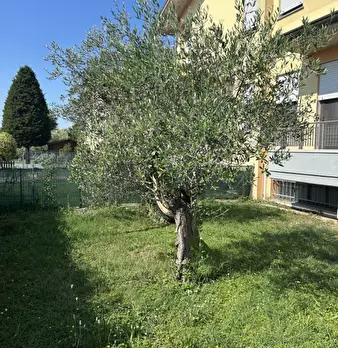 Foto annuncio 2