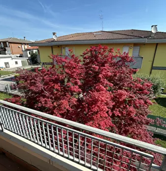 Foto annuncio 28
