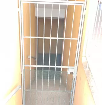 Foto annuncio 31