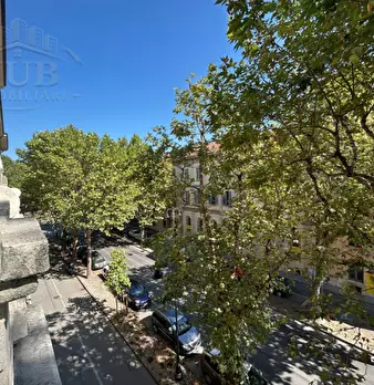 Foto annuncio 22